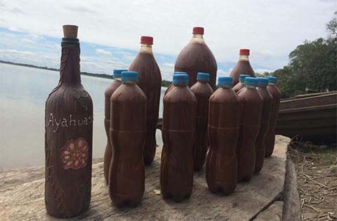 Ayahuasca Tea