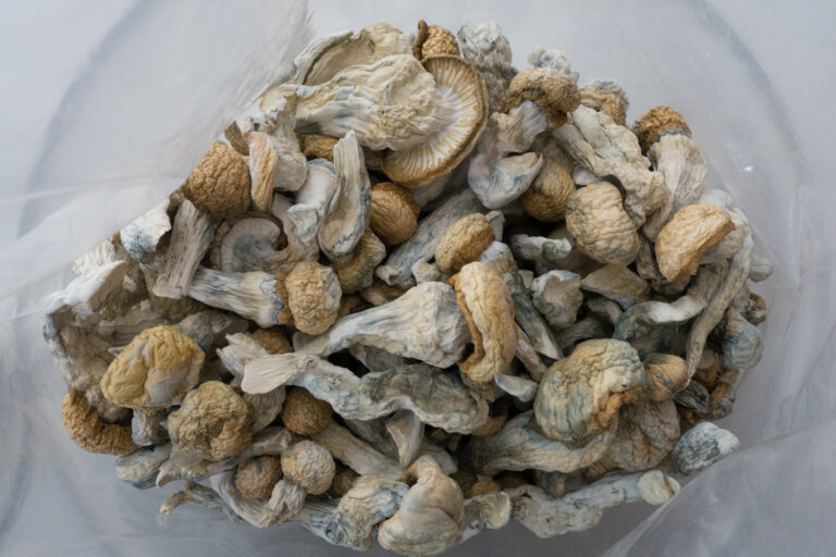 Penis-Envy-Bag-Shrooms-Canada-768x512-1-1