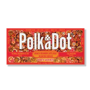 Ooey Gooey Chocolate Bar