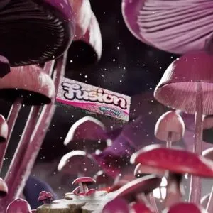 Fusion mushroom Bars - Image 6