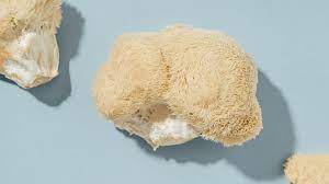 Psychedelic mushrooms for depression - Lion's Mane - Image 2